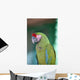 Up Parrot Puerto Vallarta Wall Decal