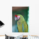 Up Parrot Puerto Vallarta Wall Decal