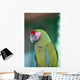 Up Parrot Puerto Vallarta Wall Decal