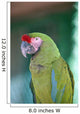 Up Parrot Puerto Vallarta Wall Decal