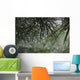 Dew Drops Pine Needles Wall Decal
