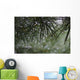 Dew Drops Pine Needles Wall Decal
