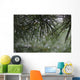 Dew Drops Pine Needles Wall Decal