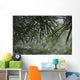 Dew Drops Pine Needles Wall Decal