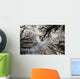 Overhead Trees In Exmoor, United Kingdom Wall Mural