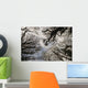 Overhead Trees In Exmoor, United Kingdom Wall Mural
