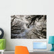Overhead Trees In Exmoor, United Kingdom Wall Mural