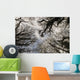 Overhead Trees In Exmoor, United Kingdom Wall Mural