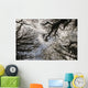 Overhead Trees In Exmoor, United Kingdom Wall Mural