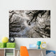 Overhead Trees In Exmoor, United Kingdom Wall Mural