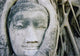 ayuthaya buddhas head banyan tree Wall Mural