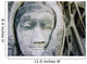 ayuthaya buddhas head banyan tree Wall Mural