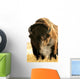Bison Wall Mural