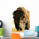 Bison Wall Mural