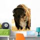 Bison Wall Mural