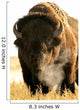 Bison Wall Mural