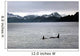 Orcas and mountain scene in Alaska Wall Mural