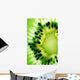 Kiwi Detail Wall Decal