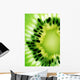 Kiwi Detail Wall Decal
