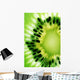 Kiwi Detail Wall Decal
