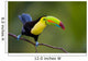 Keel Billed Toucan, from Central America. Wall Mural