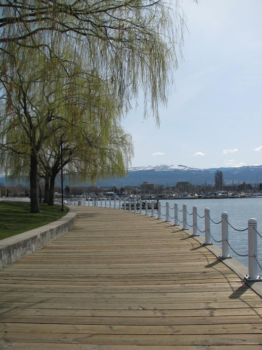 Lakeside Walk Wall Mural