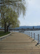 Lakeside Walk Wall Mural
