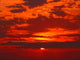 Sunrise Wall Decal