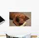 Cute Puppy Chew Bone Toy Wall Mural