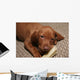 Cute Puppy Chew Bone Toy Wall Mural