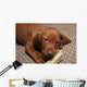 Cute Puppy Chew Bone Toy Wall Mural