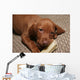 Cute Puppy Chew Bone Toy Wall Mural