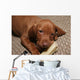 Cute Puppy Chew Bone Toy Wall Mural