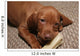Cute Puppy Chew Bone Toy Wall Mural