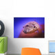 Blackspotted puffer ;Israel Wall Mural