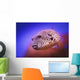 Blackspotted puffer ;Israel Wall Mural
