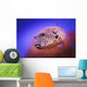 Blackspotted puffer ;Israel Wall Mural