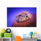 Blackspotted puffer ;Israel Wall Mural