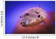 Blackspotted puffer ;Israel Wall Mural