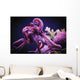 Octopus;Israel Wall Mural