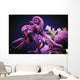 Octopus;Israel Wall Mural