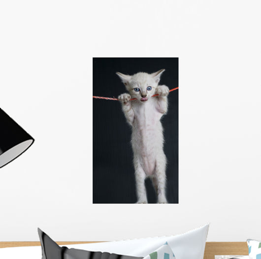 Cat Rope Wall Decal