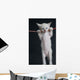 Cat on a rope Wall Decal