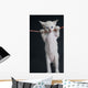 Cat on a rope Wall Decal