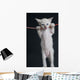 Cat on a rope Wall Decal