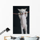 Cat on a rope Wall Decal