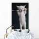 Cat on a rope Wall Decal