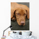 Tired Sleep Relax Rest Dog Wall Mural