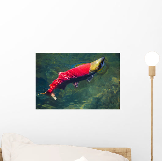 Sockeye Salmon Makes It Wall Decal
