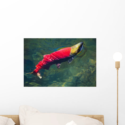 Sockeye Salmon Makes It Wall Decal